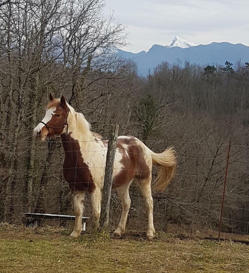 Agriturismo La Selva Aulla Buitenkant foto