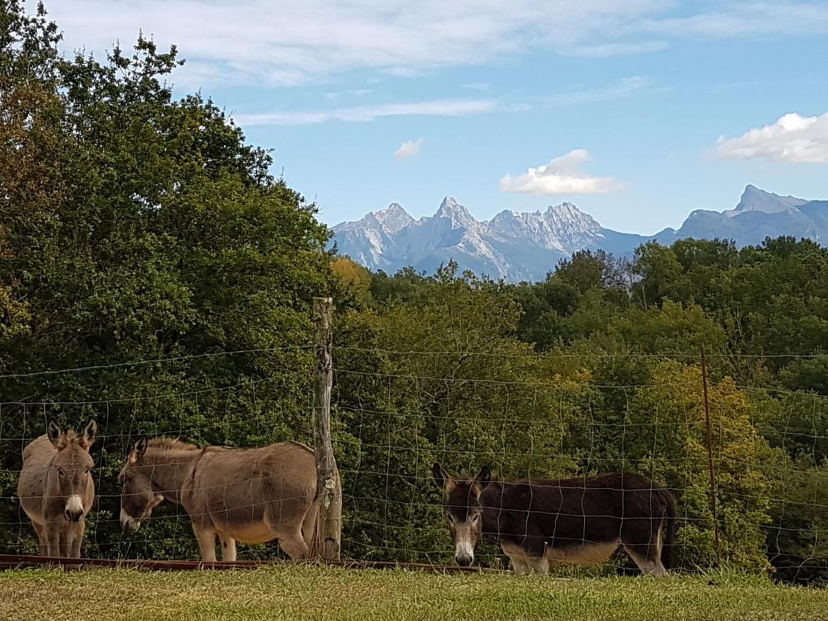 Agriturismo La Selva Aulla Buitenkant foto